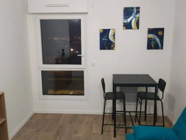 Appartement 1 pièce 20 m²