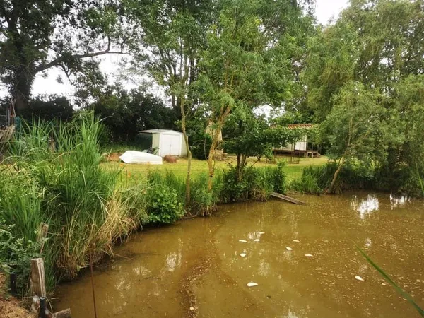 Terrain Vente Talmont-Saint-Hilaire   59900€