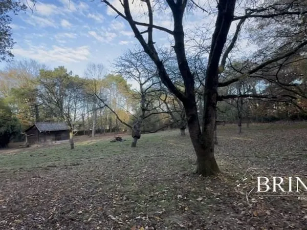Terrain 4000 m²