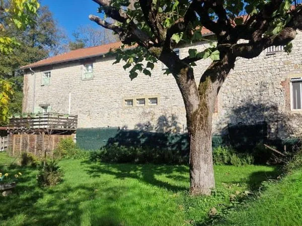 Boutique 11 pièces 496 m²