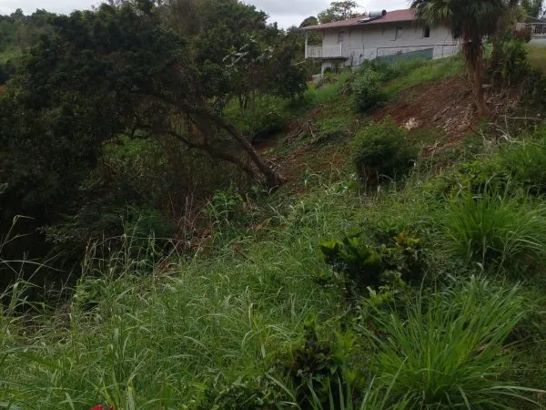 Urgent à vendre terrain de 1732 m² à St Esprit
