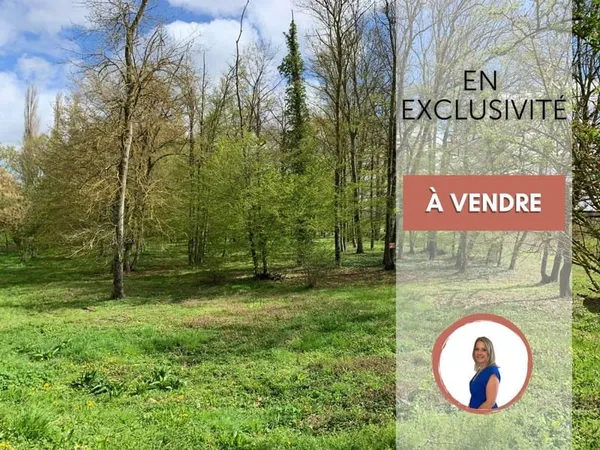 Terrain 11780 m²