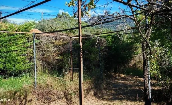 Terrain constructible L'ESCARENE
