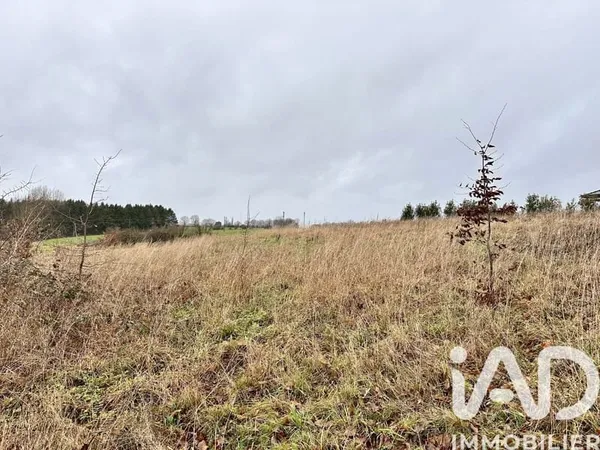 Terrain 1000 m²