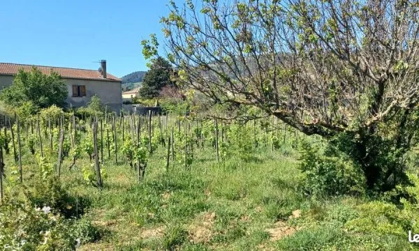 Terrain 557 m² Cornas