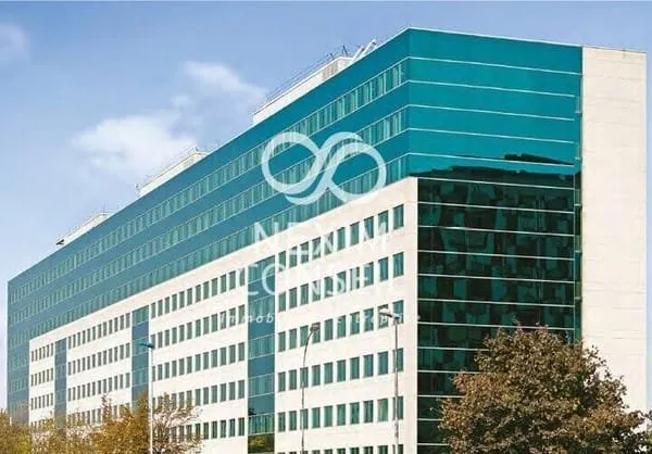 Bureau 125 m²