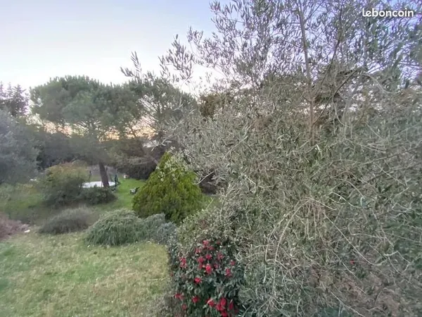 Villa à louer à Valbonne