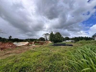 510 m² DE TERRAIN POUR FAIRE CONSTRUIRE VOTRE MAISON A BAIE MAHAULT
