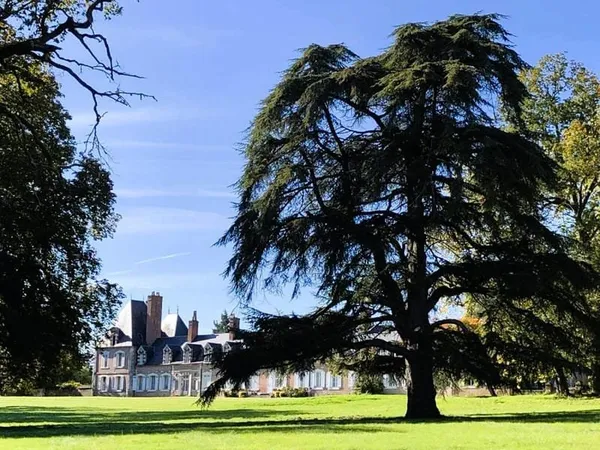 Appartement à vendre en Sologne dans un château datant du 17ème siècle avec un parc arboré de 23.5 h
