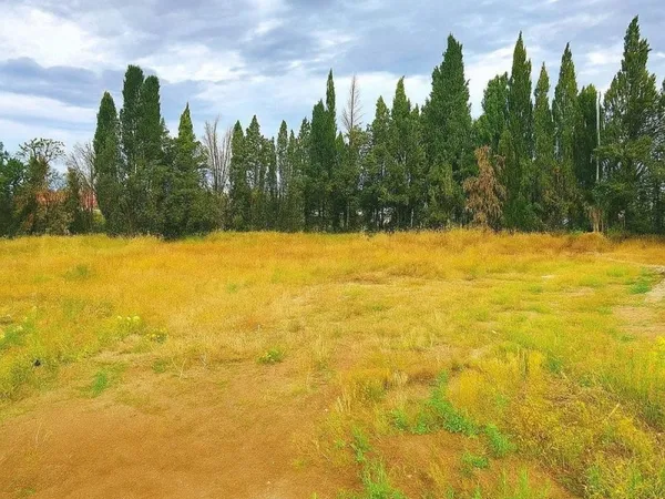 Terrain nue viabilisé (757 m2) avec permis de construire validé pour " villa prestige " - Possibilit