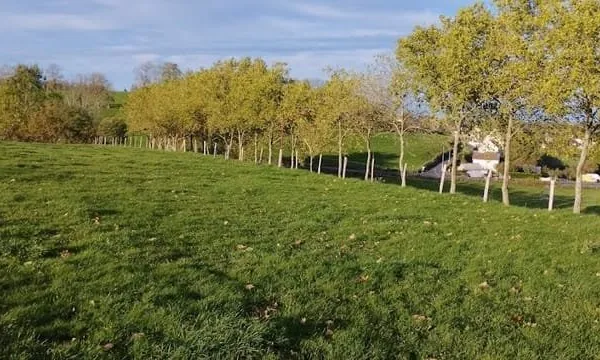Terrain 10000 m²