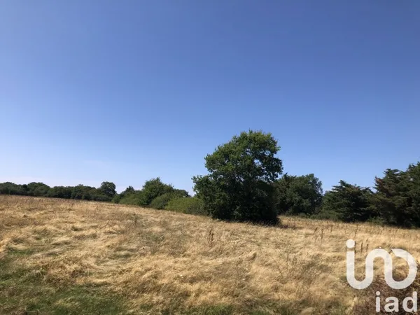 Terrain 319 m²