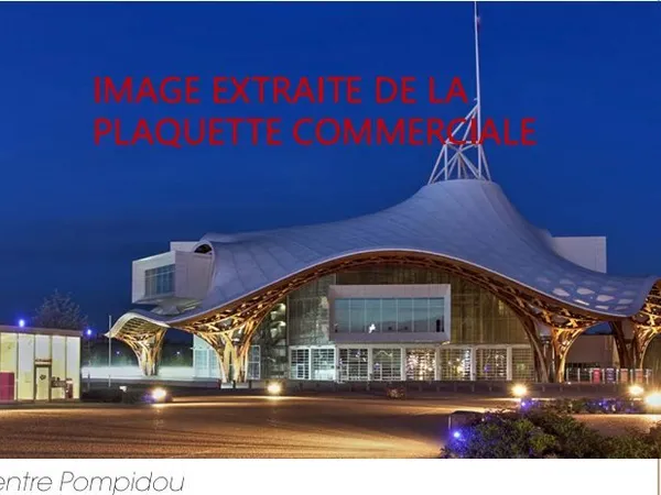 Achat : Appartement (57000)