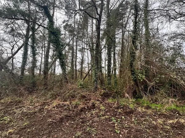 Terrain 1613 m²
