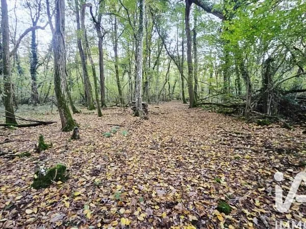 Terrain 25548 m²