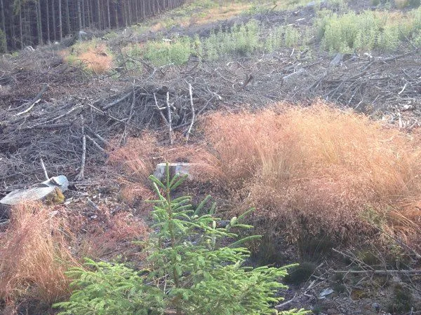 Terres sur massif naturel 3,5 hectares