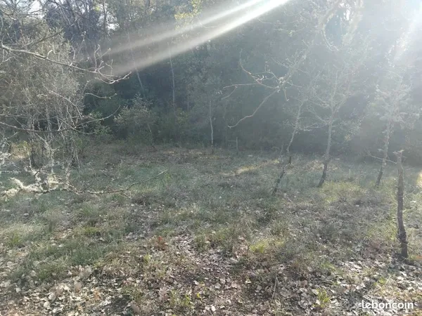 Terrain de loisirs