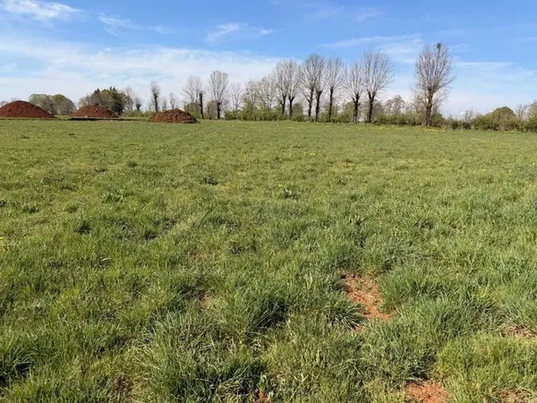 Terrain 997 m²