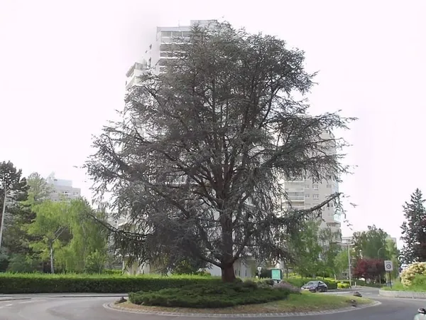 Lot de 5 parkings en sous-sol à Marly-le-Roi
