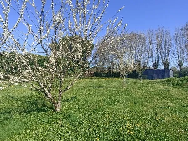 Terrain constructible 998m²