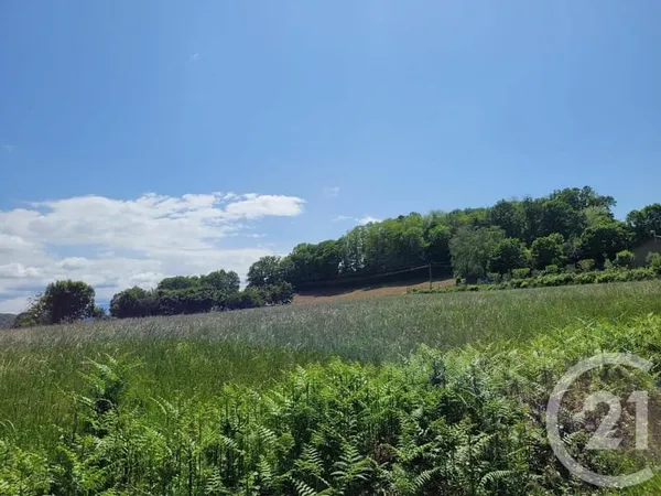Terrain 2326 m²