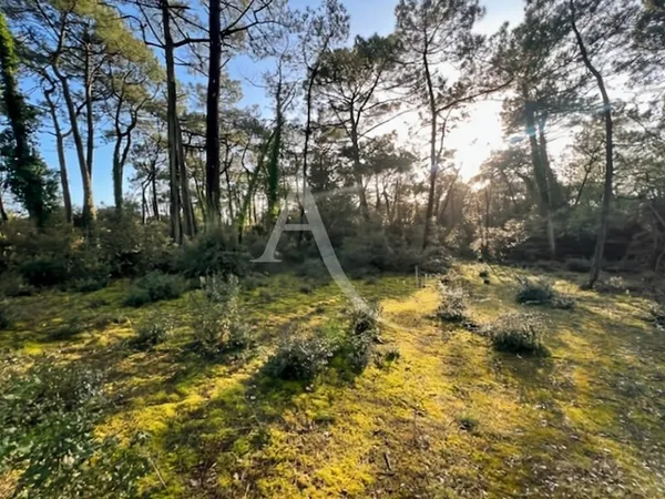 Terrain Saint Jean De Monts 4808 m²
