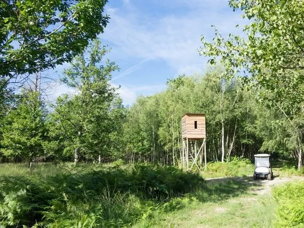 Sologne - Propriété de chasse d'environ 75 hectares