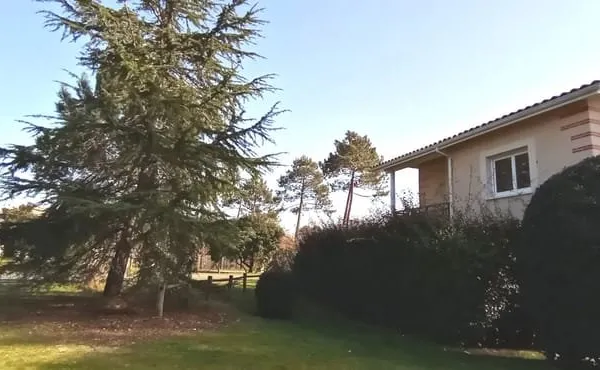 Appartement Lege Cap Ferret 2 pièce(s) 43 m2