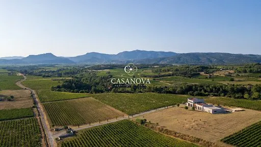 Vignoble 142 m²
