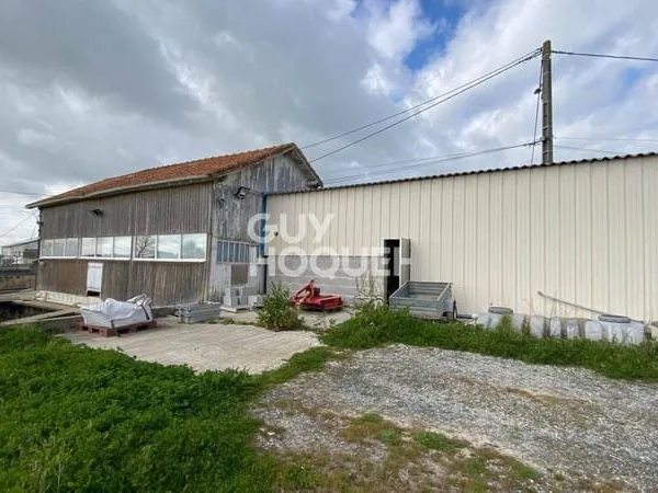 Maison 4 pièces 210 m²