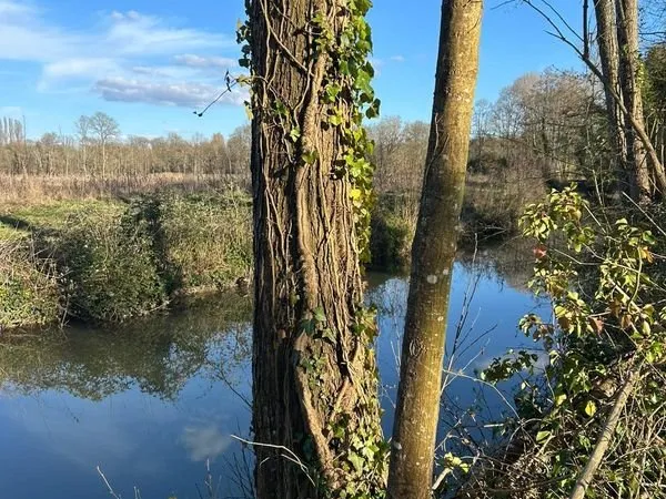 🌿 Bord de rivière - 2 terrains de loisirs arborés - 5 460 m² - Nature et calme
