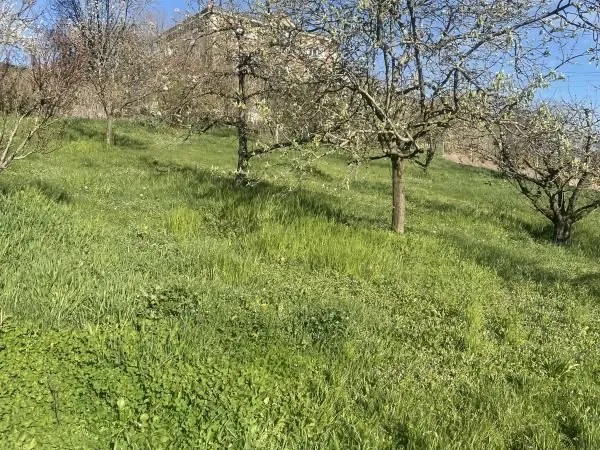 Terrain 1 008 m² L Arbresle