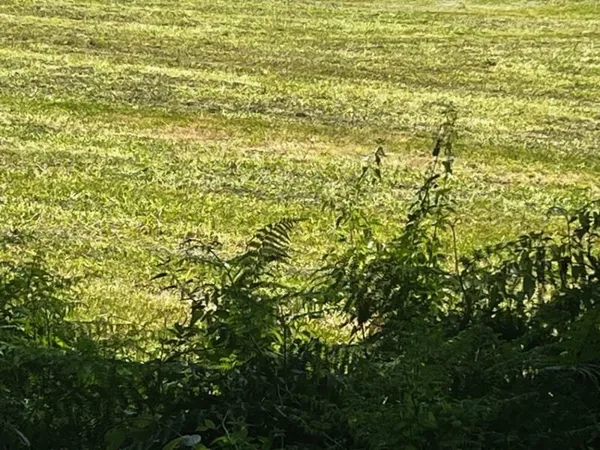 Terrain 1400 m²