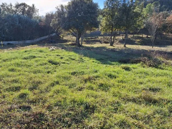 Terrain 428 m²