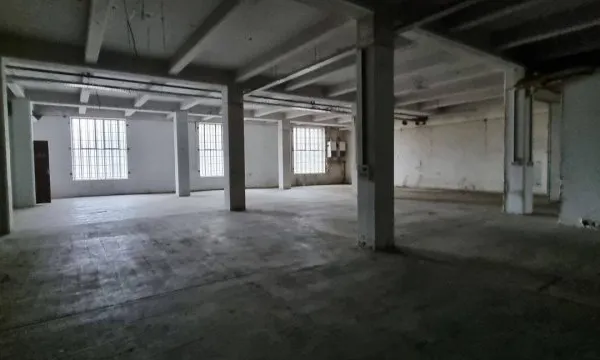 Local d'activité 234 m²