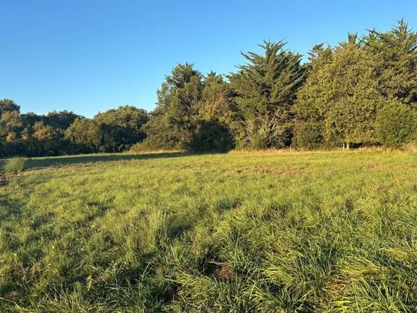 Terrain 1226 m²