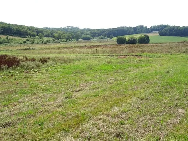 Landes 40700 Sainte-Colombe, propriété agricole 22 ha