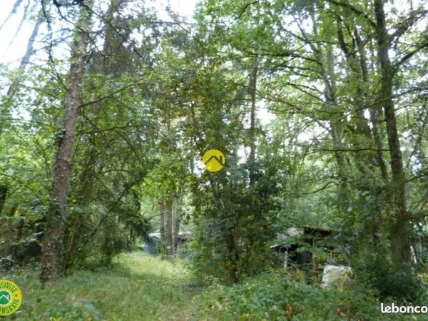 Terrain 3 783 m² Langeais