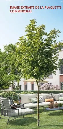 Achat : Maison Sarcelles (95200)
