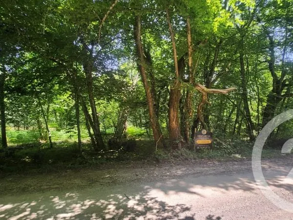 Terrain 4900 m²