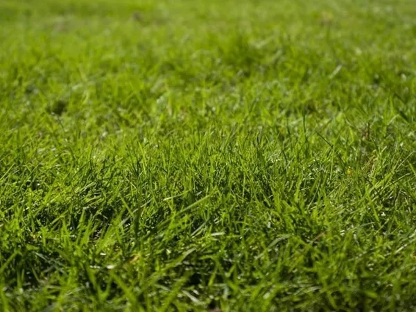 Terrain 1916 m²