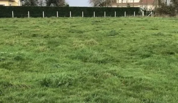 Terrain 1568 m²