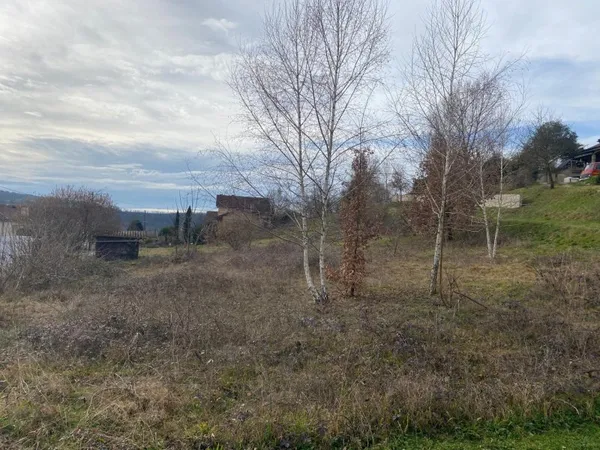 Grande parcelle exposé sud