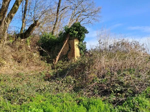 Terrain 97607 m²