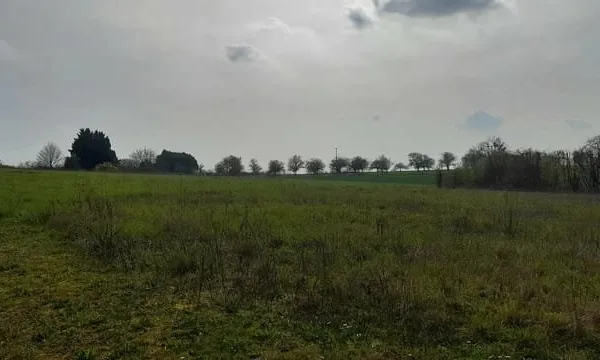 Terrain constructible borné et viabilisé de 980m²