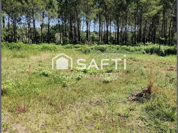 terrain constructible de 1038 M2