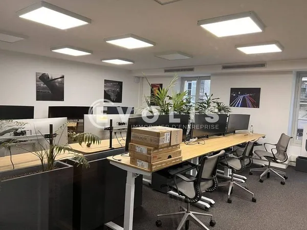 Bureau 250 m²