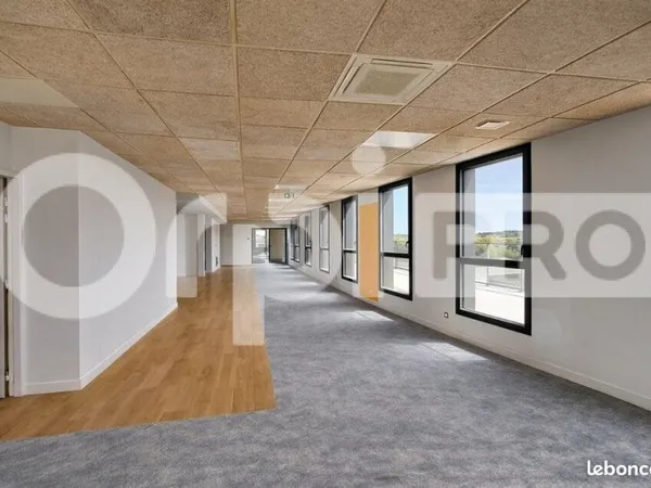Bureau 250 m²