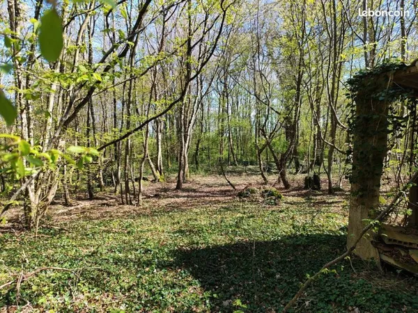 Vend terrain boiser