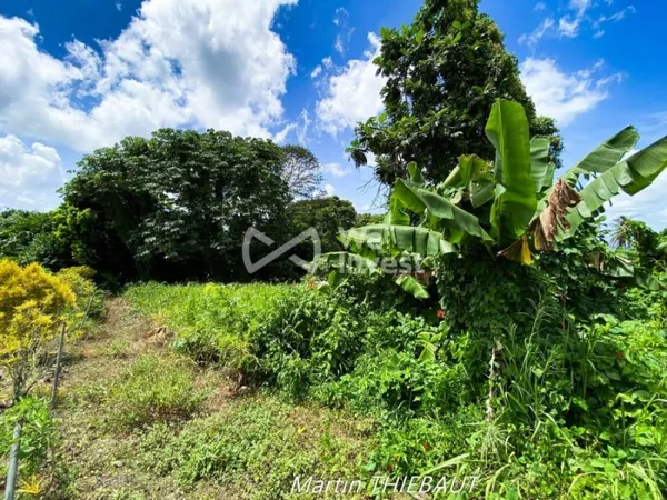 Terrain 631 m²